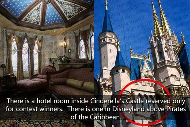Silly Things You Wouldn’t Know about Disney Theme Parks