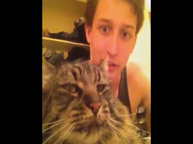 Bon Jovi the Cat Isn't Taking Any of Your Crap  (VIDEO)