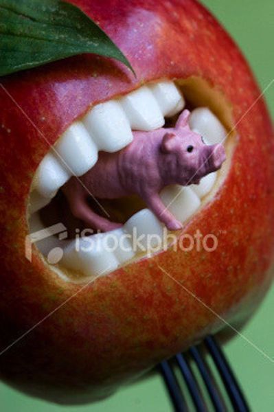 Weird Stock Photos That Make Absolutely No Sense