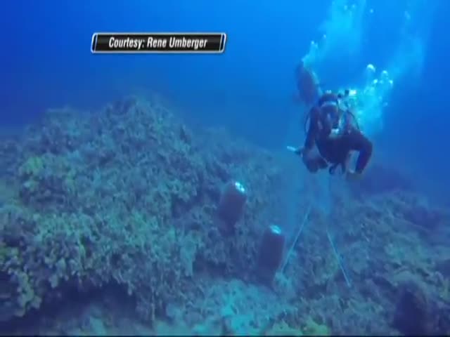 Diver Asaulted Underwater by Another Diver  (VIDEO)