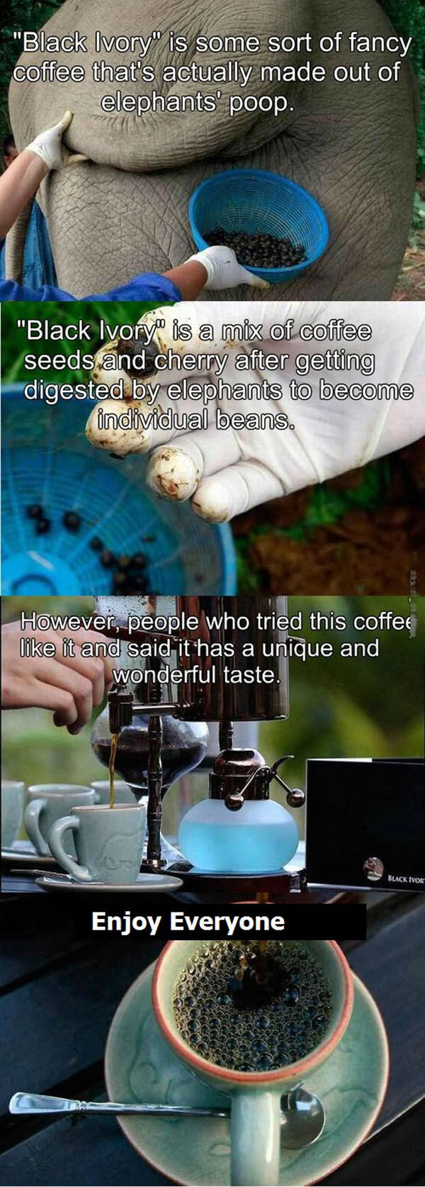 “Black Ivory” Coffee Has a Very Suspicious Origin
