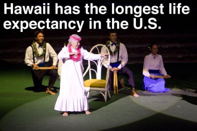 A Little Bit of Fun Trivia about Hawaii