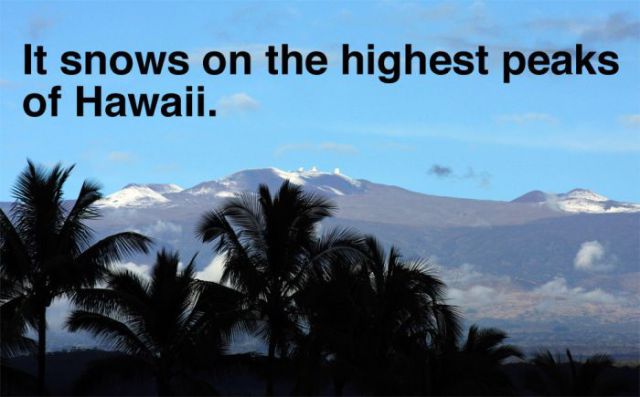 A Little Bit of Fun Trivia about Hawaii