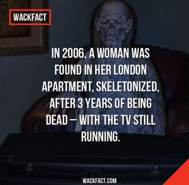 Bizarre Facts You Will Struggle to Believe