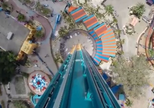 Would You Dare to Take This Ride?