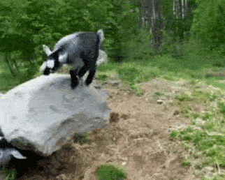 Hilarious GIFs That Totally Sum Up Life Perfectly