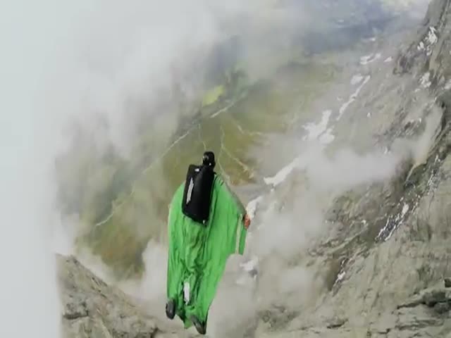 World's First Wingsuit Base Jumping Dog 