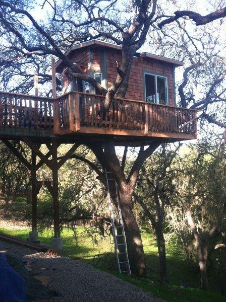 A DIY Tree House That Will Knock Your Socks off