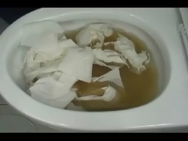 How to Unclog a Toilet, Korean Style!  (VIDEO)