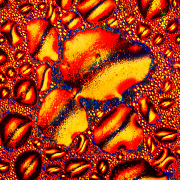 A Few Popular Alcoholic Drinks Under a Microscope