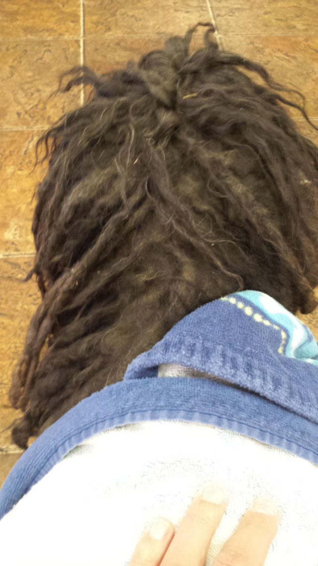 A Dreadlocked Neglected Dog Gets Rescued