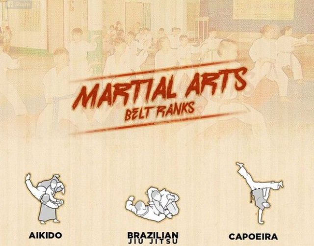 An Infographic Guide to Martial Arts Belt Rankings