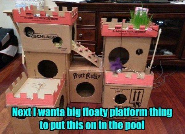 If You Were a Pet You’d Want Owners Like This