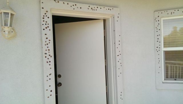 These Holes Are Not Quite What You Think