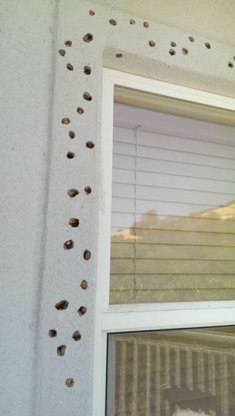 These Holes Are Not Quite What You Think