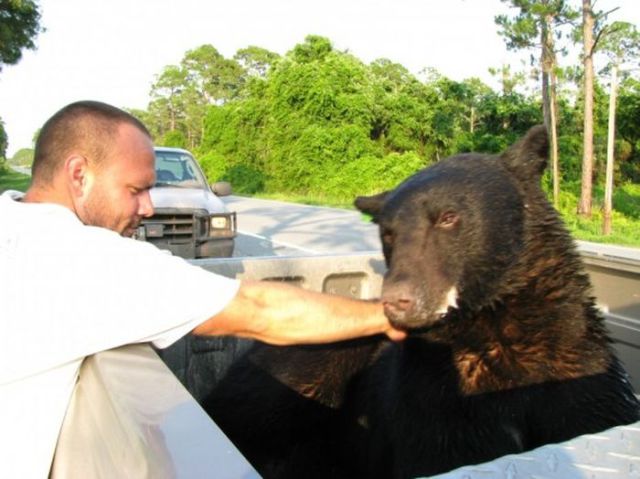 The Man Who Risked His Life to Save a Deadly Animal