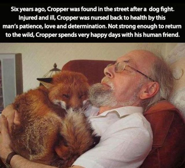 The Human and Animal Relationship Is Very Special