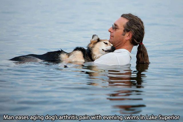 The Human and Animal Relationship Is Very Special