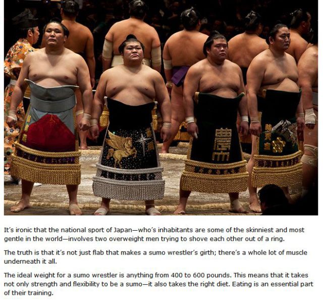 What Sumo Wrestlers Eat in a Day