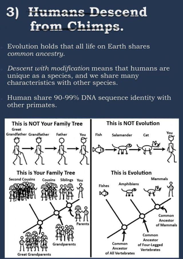 The Big Debate on Evolution Continues