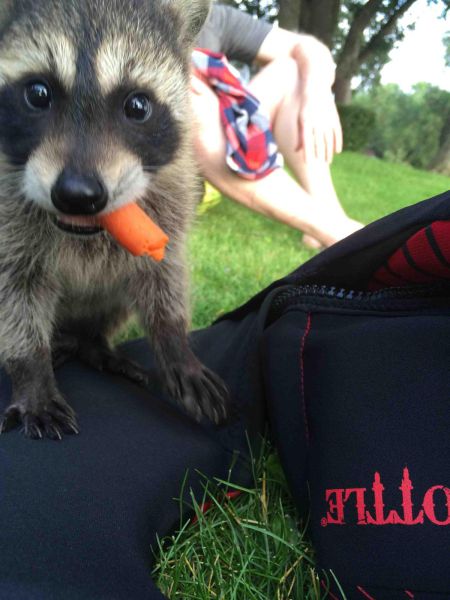 Daily Picdump