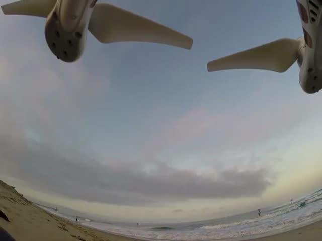Shark and Surfer in Near-Collision  (VIDEO)
