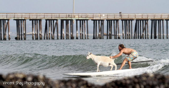 The Beach Is Not A Good Fit for People Like This…