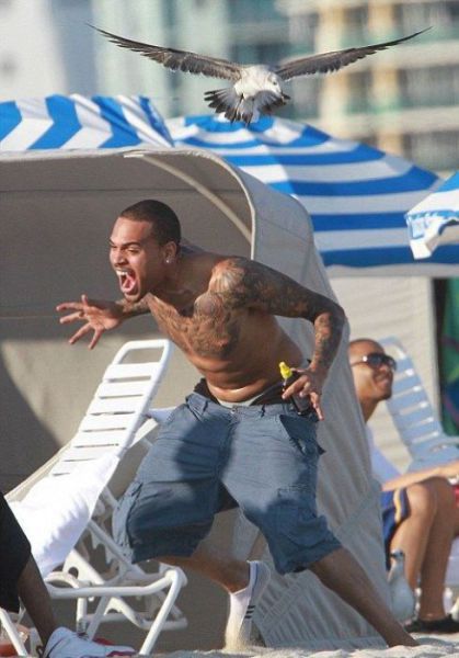 The Beach Is Not A Good Fit for People Like This…