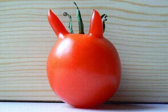 Vegetables That Are Desperately Trying to Be Something Else