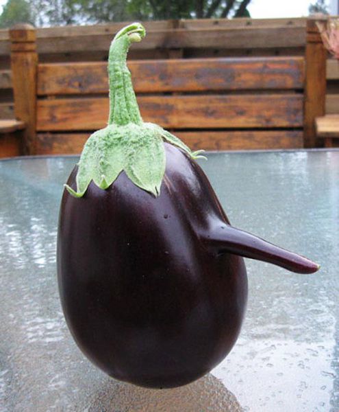 Vegetables That Are Desperately Trying to Be Something Else