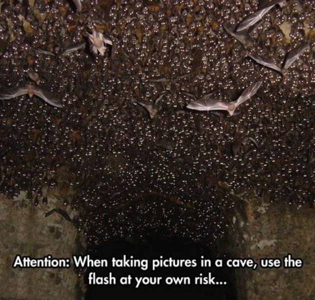 Creepy Things That Will Give You Sleepless Nights