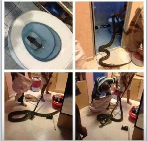 Creepy Things That Will Give You Sleepless Nights
