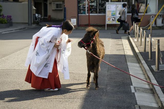 Japan Could Win a Prize for Cutest Country Ever