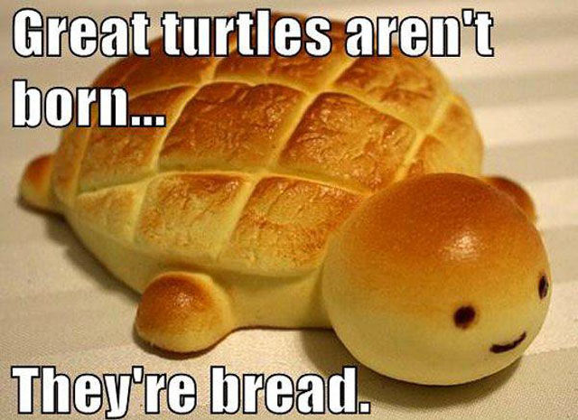 Bad Puns That Will Still Make You Laugh