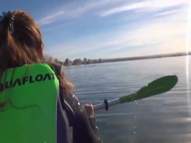 Whale Lifts Kayakers Out of Water on Argentinian Coast  (VIDEO)