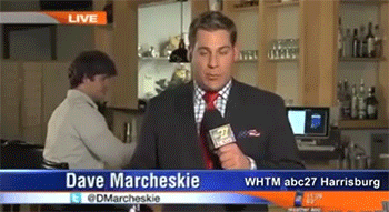 Hilarious News and Sports Videobomb GIFs
