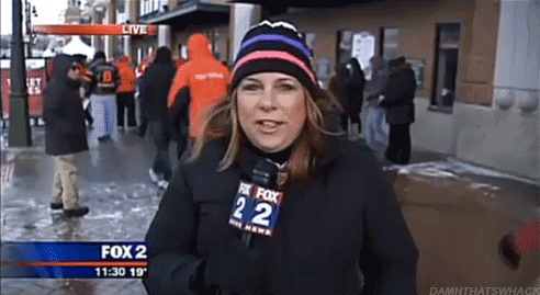 Hilarious News and Sports Videobomb GIFs