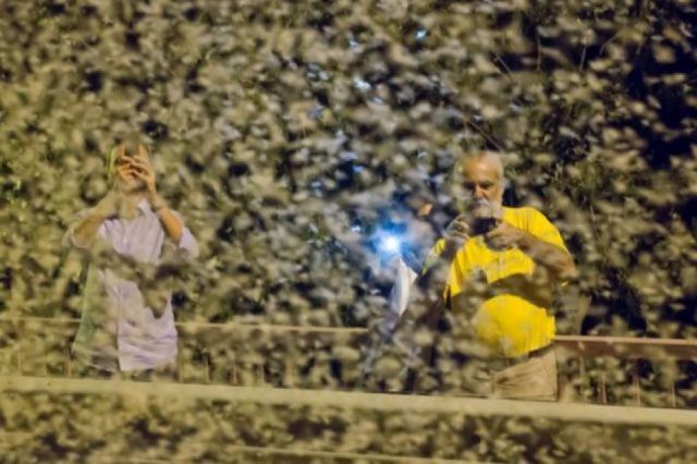 Mayflies Infest Parts of the US