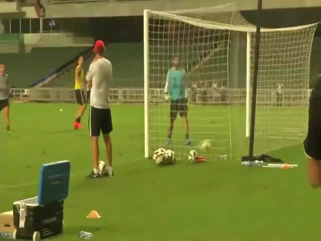Zltan Ibrahimovic Scores a Crazy Kung-Fu-Style Flying Backheel Goal  (VIDEO)