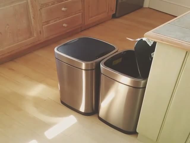 Two Motion Detector Trash Cans Stuck in an Infinite Loop  (VIDEO)