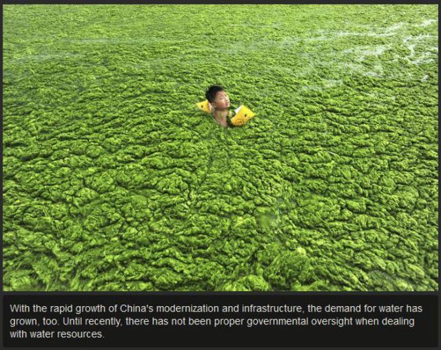 Gross and Dirty Bodies of Water in China
