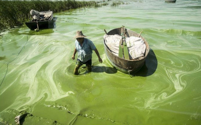 Gross and Dirty Bodies of Water in China