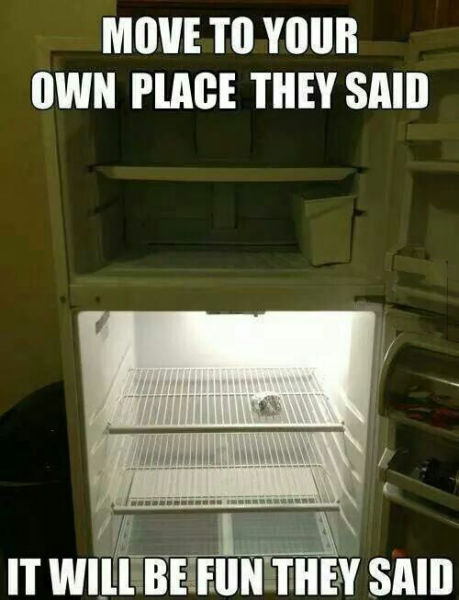 Funny Picdump