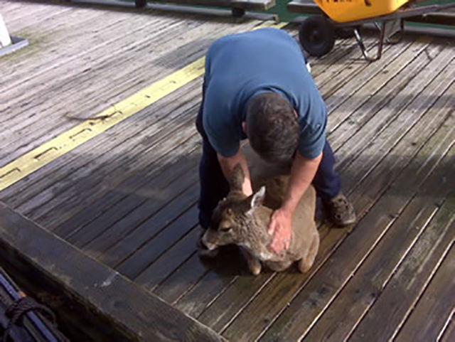 Whale Watcher Stumbles Across Something Out of the Ordinary