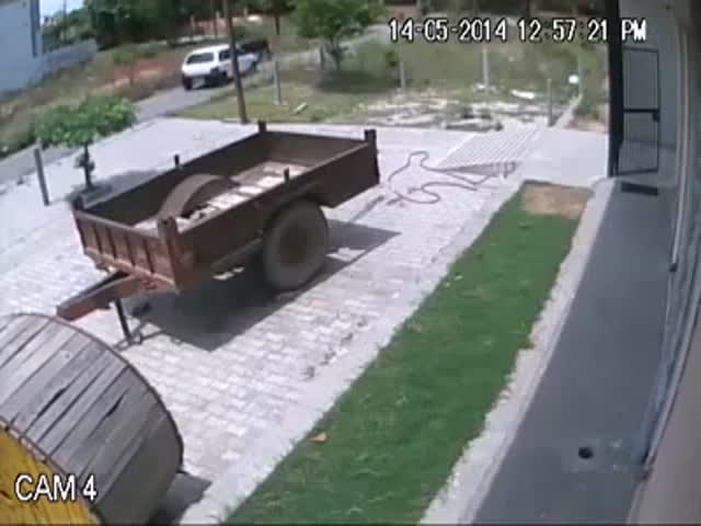 In India, They Even Steal Cows!  (VIDEO)