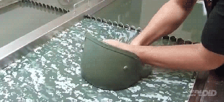 GIFs That Are Actually Educational for a Change