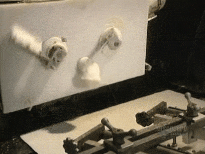 GIFs That Are Actually Educational for a Change