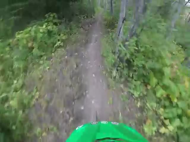 Mountain Biker Has Scary Encounter while Riding through the Woods 