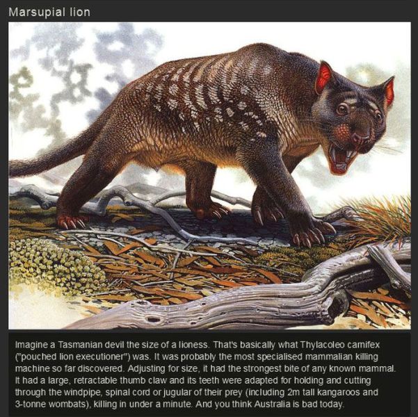 Scary Ancient Animals We Are Glad are Now Extinct