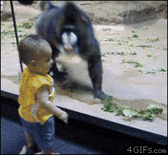 A Collection of Sweet, Silly and Funny Moments at the Zoo